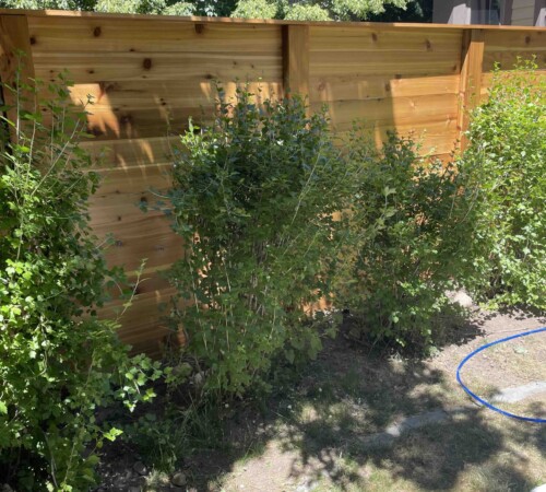 Fence Stain, Fence Renovation, Fence Remodel, Fence Repair
