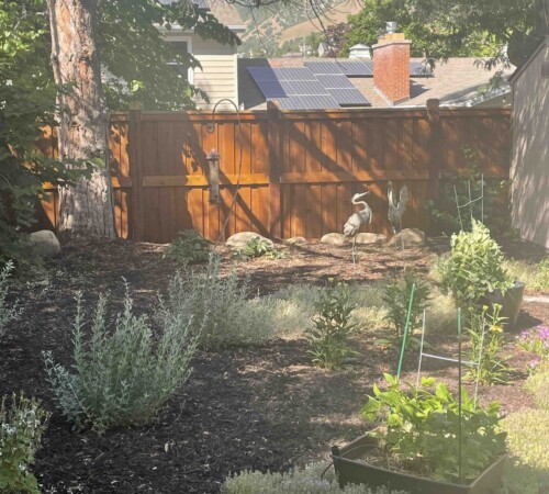 Fence Stain, Fence Renovation, Fence Remodel, Fence Repair