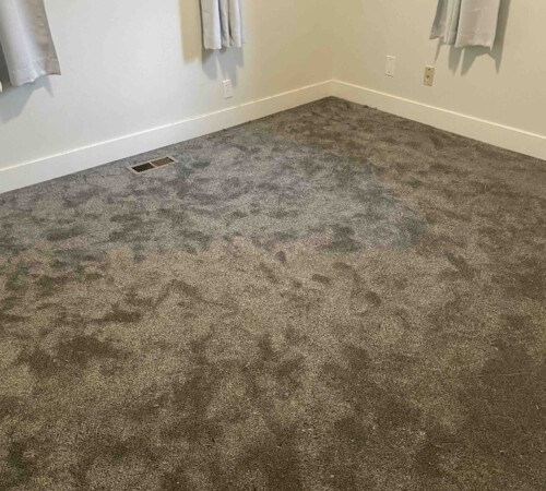 Carpet Installation, Carpet Removal