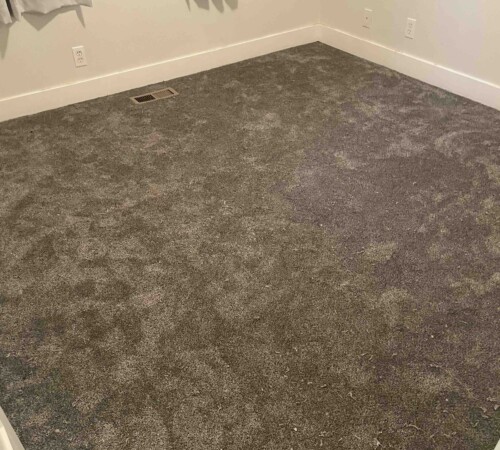 Carpet Installation, Carpet Removal